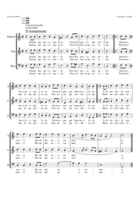 Il Tormentato (Non mi dar tanto martir)