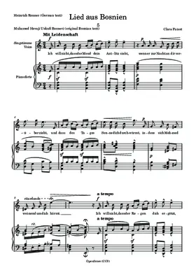 Lied aus Bosnien