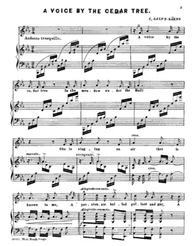 A voice by the cedar tree