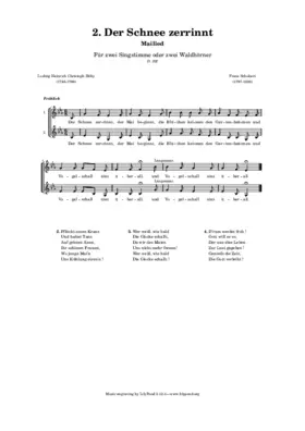 Der Schnee zerrinnt, D.202