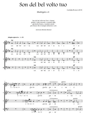 Son del bel volto tuo