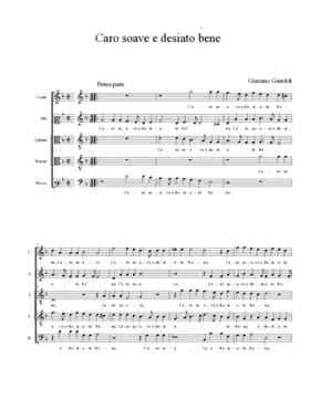 Caro soave e desiato bene