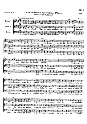 Hier strecket der wallende Pilger