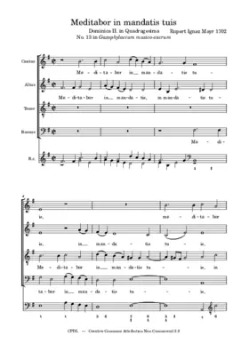 Meditabor in mandatis tuis