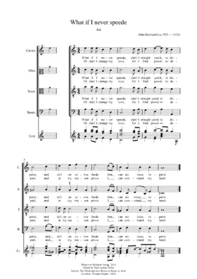 What if I never speede