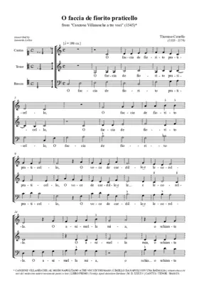 O faccia de fiorito praticello