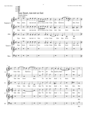 Stay heart run not so fast