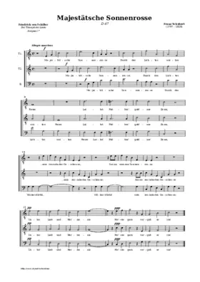 Majestätsche Sonnenrosse