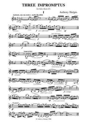 3 Impromptus for Solo Horn