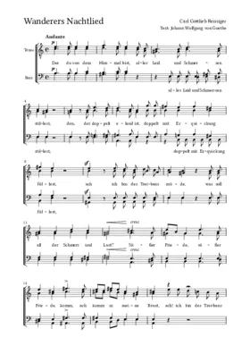 Wanderers Nachtlied