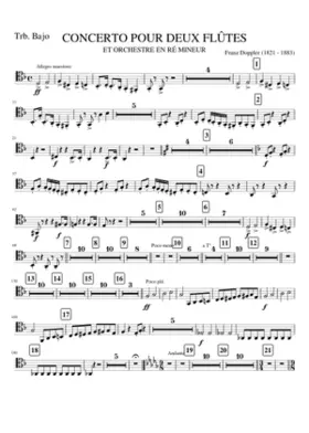 TRBB. CONCERTO 2 FLUTES
