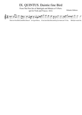 IX. QUINTUS. Daintie fine Bird