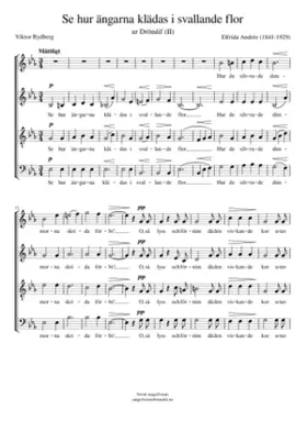 Se hur ängarna klädas i svallande flor