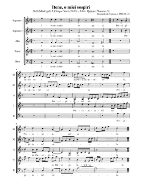 Itene o miei sospiri