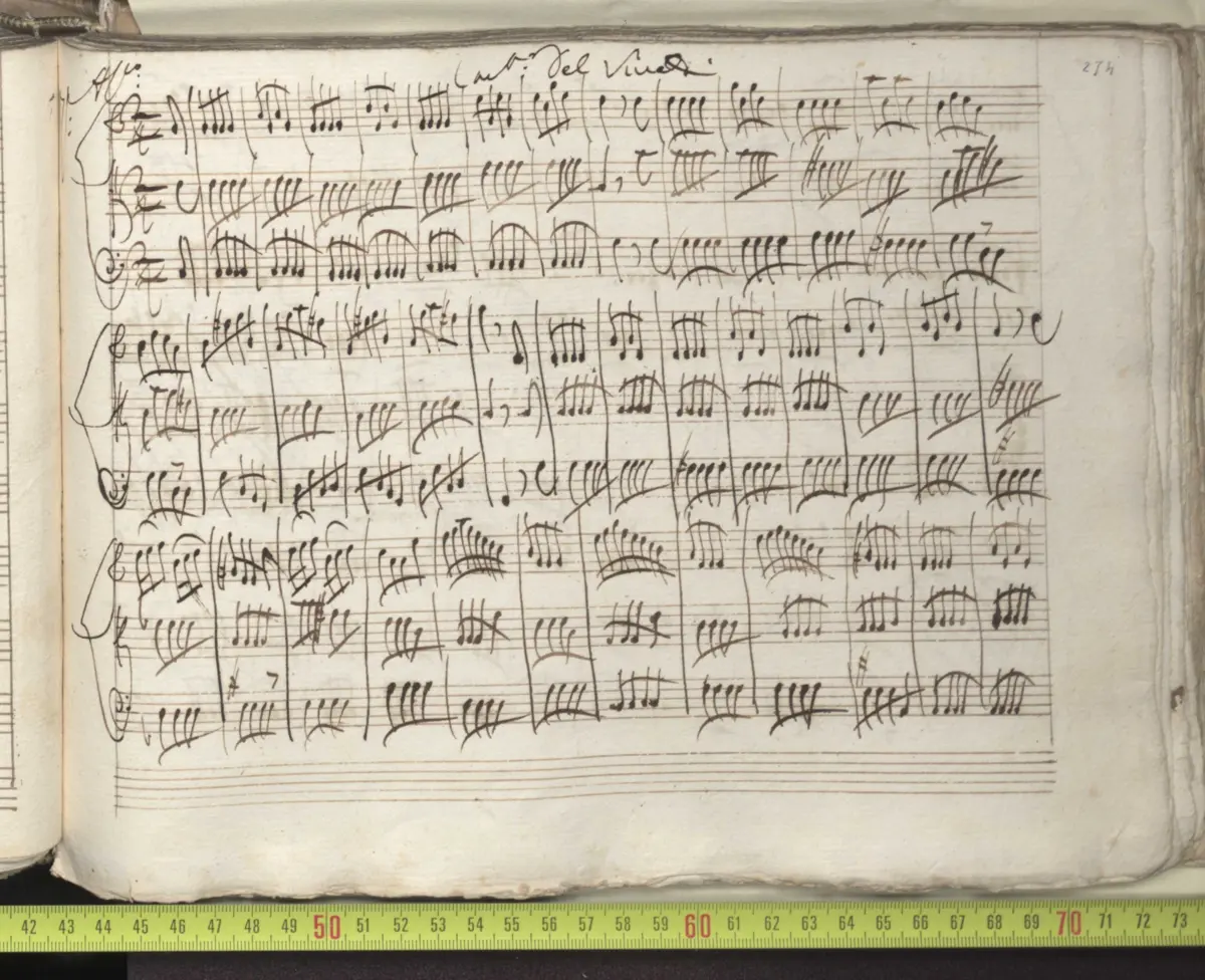 Concerto for Strings in C major - Page 1
