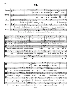 Descendi in hortum meum