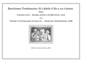 Sí è debile il filo a cui s'attene