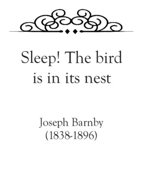 Sleep! the bird is in its nest