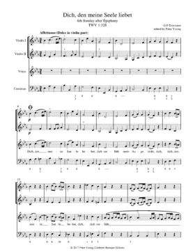 Dich, den meine Seele liebet