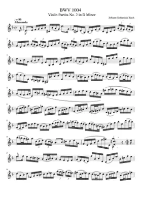 Violin Partita No.2 in D minor BWV 1004