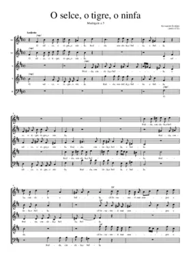 O selce, o tigre, o ninfa