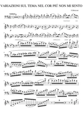 Double Bass Concerto No.2 in B minor