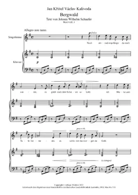 2 Lieder von Johann Wilhelm Schaefer