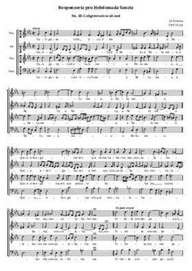 Caligaverunt oculi mei, ZWV 55:18