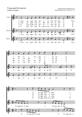 Venga quel bel Narciso