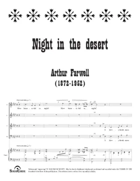 Night in the desert