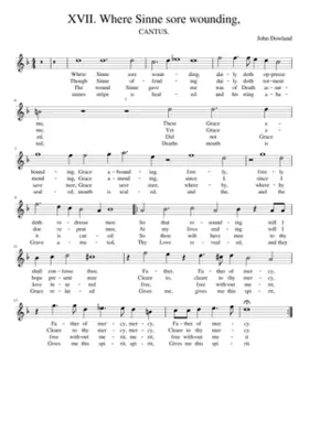 XVII. Where Sinne sore wounding