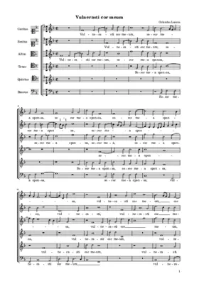 Vulnerasti cor meum a 6