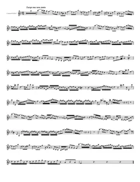 Concerto for 2 Violins