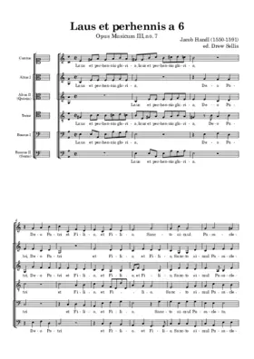 Laus et perhennis a 6