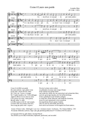 Come il lauro non perde