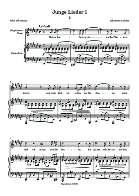 Junge Lieder I