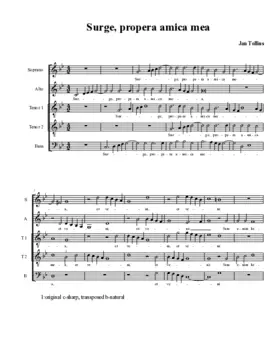 Surge propera, amica mea