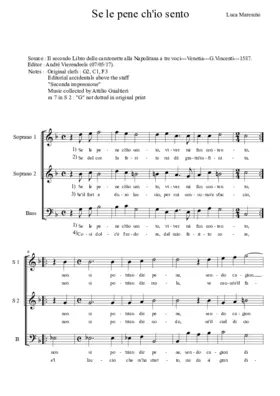 Se le pene ch'io sento