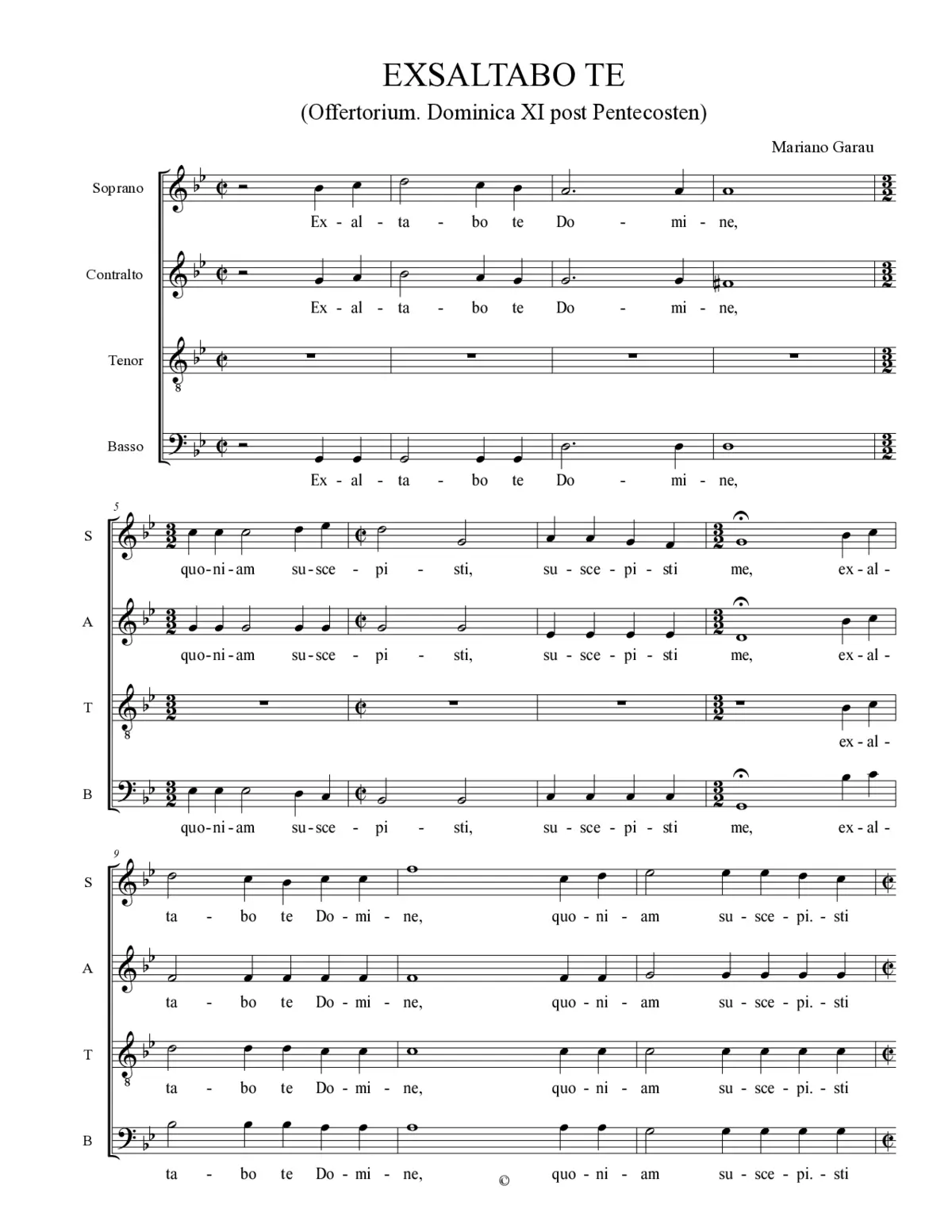 Exaltabo te - Page 1