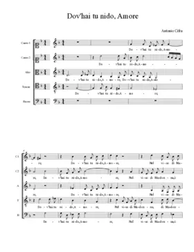 Dov'hai tu nido, Amore