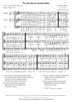 Tu sai che la cornacchia