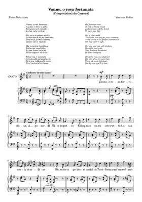 Vanne, o rosa fortunata