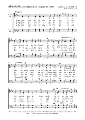 Abendlied: Nun schlafen die Vöglein, Op. 80, No. 3