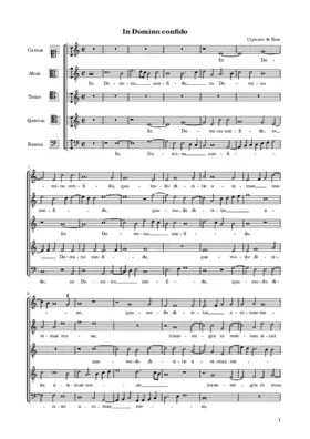 In Domino confido