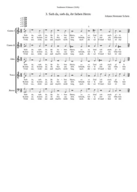 Sieh da sieh da ihr lieben Herrn