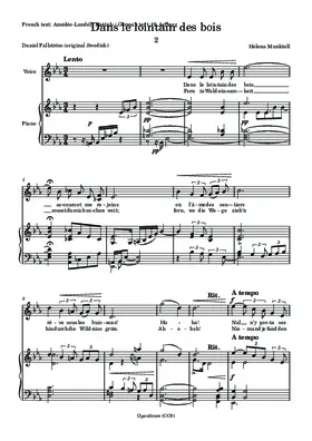 Dans le lointain des bois