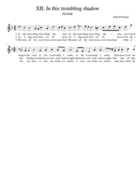 XII. In this trembling shadow