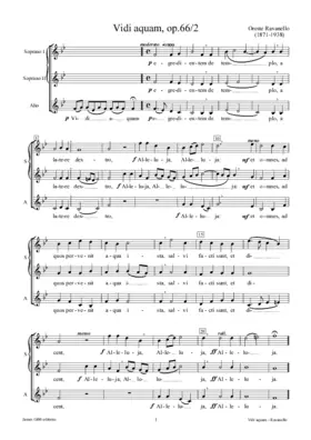 Vidi aquam, op. 66/2