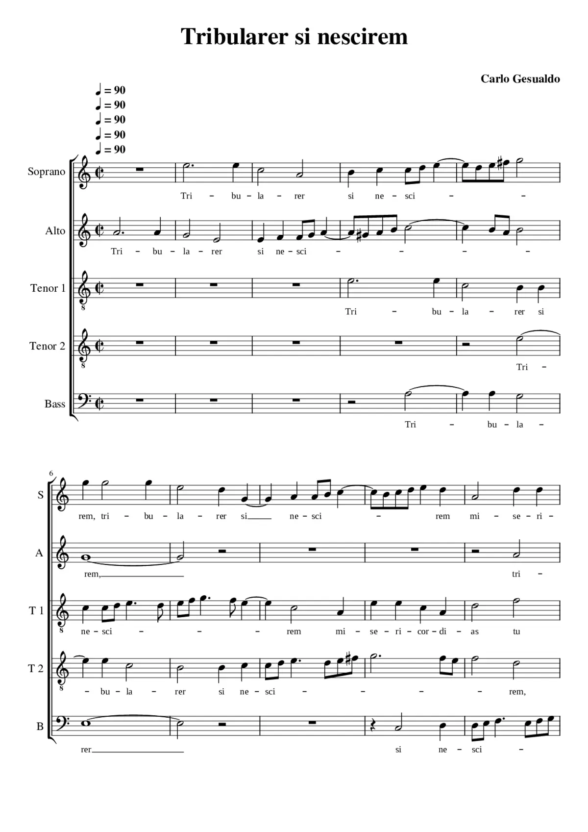 Tribularer si nescirem - Page 1