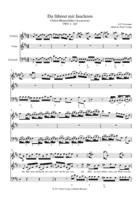 Du fährest mit Jauchzen